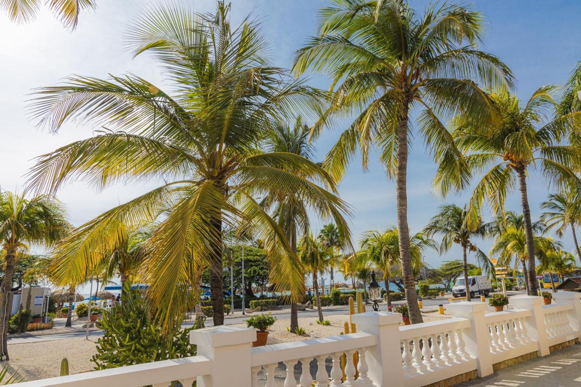 Amsterdam Manor Beach Resort Palm Beach Bagian luar foto