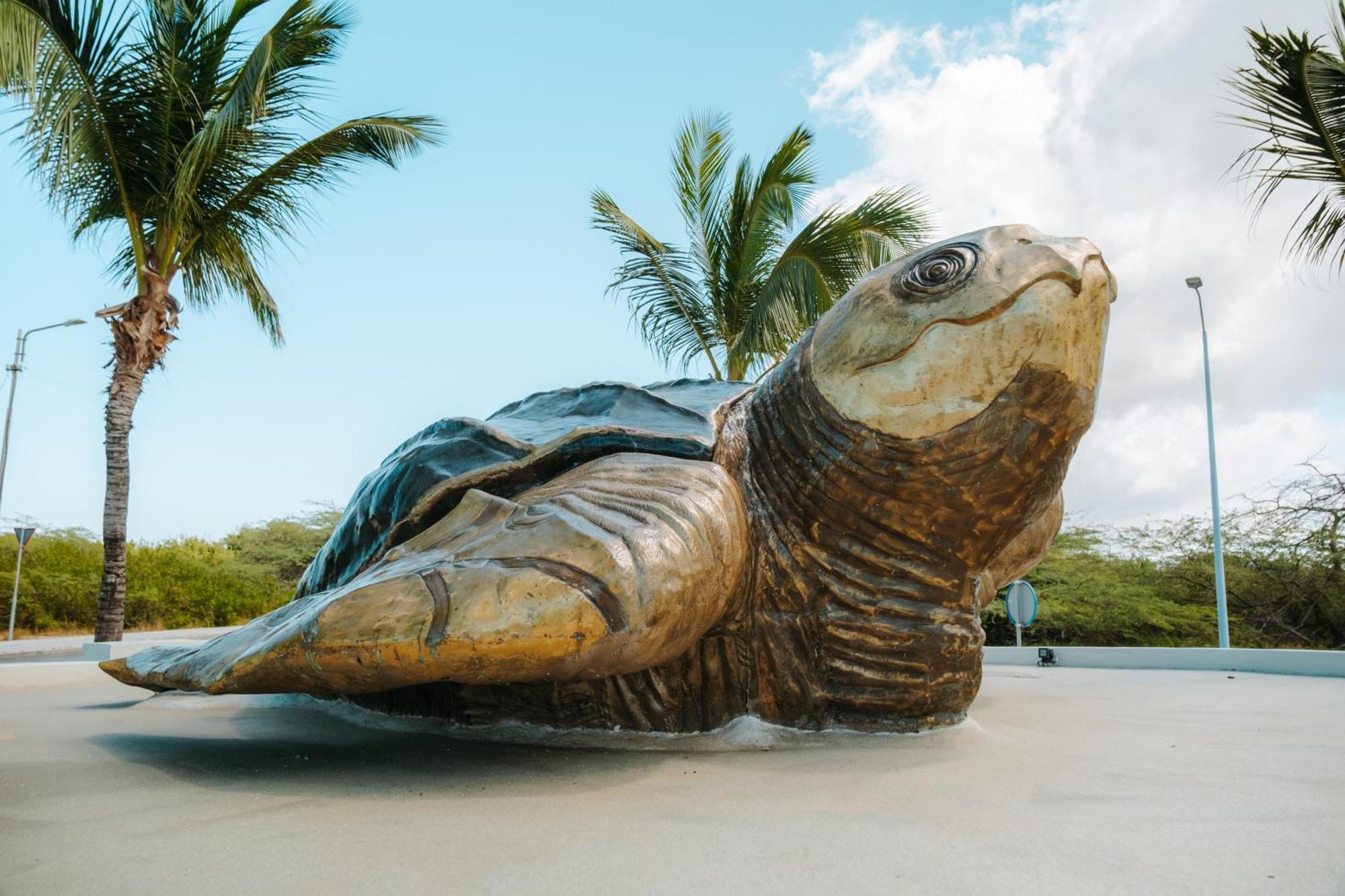 Amsterdam Manor Beach Resort Palm Beach Bagian luar foto